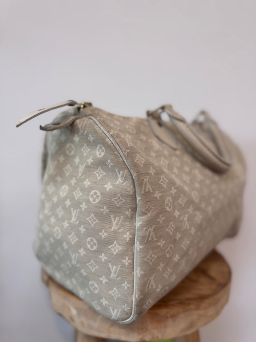 Louis Vuitton speedy 30 lin