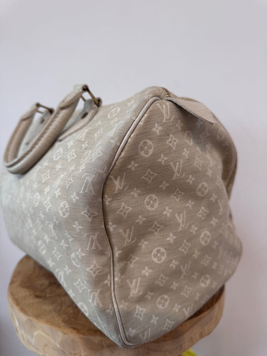 Louis Vuitton speedy 30 lin