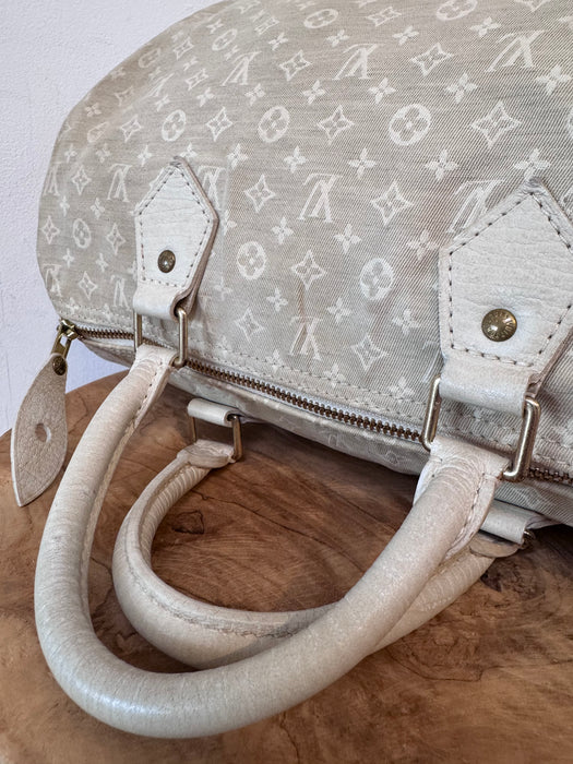 Louis Vuitton speedy 30 lin