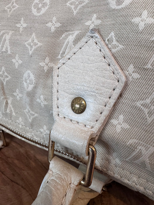 Louis Vuitton speedy 30 lin