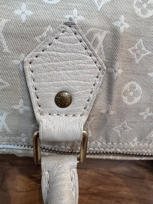 Louis Vuitton speedy 30 lin