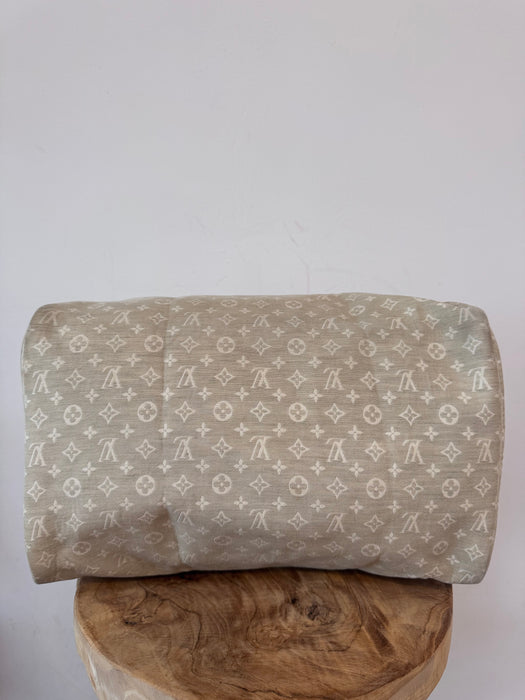 Louis Vuitton speedy 30 lin